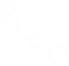 logo_pleo_white